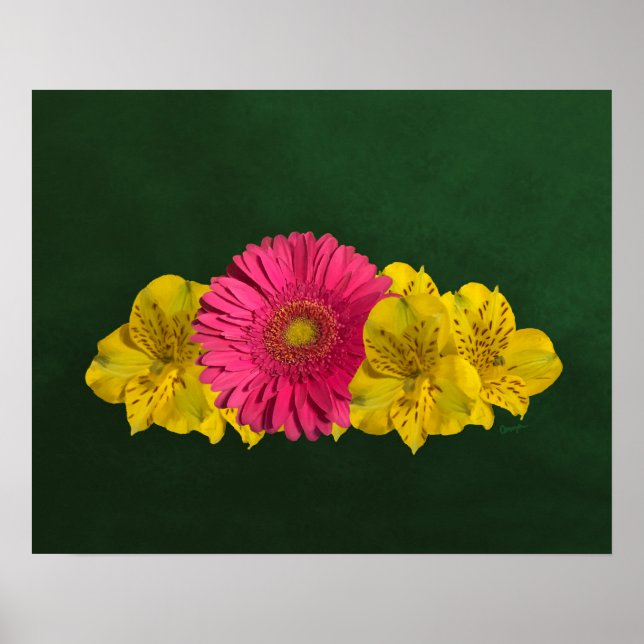 Impressão de Flores Amarelas e Rosa Brilhante (Frente)