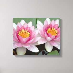 Impressão de flutuação cor-de-rosa das canvas d