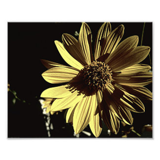 Impressão de Foto Amarelo Subduzido 10x8