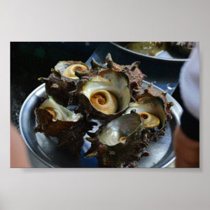 Impressão de Foto da Colheita de Sora Conch Haenye