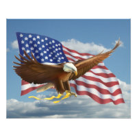 Impressão de Foto de Águia Bald Americano