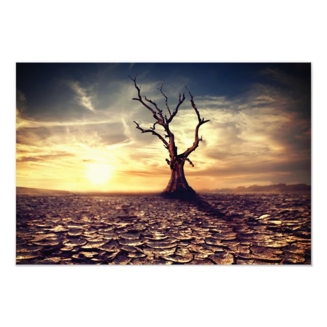 Impressão de Foto de Árvore no Deserto (Frente)