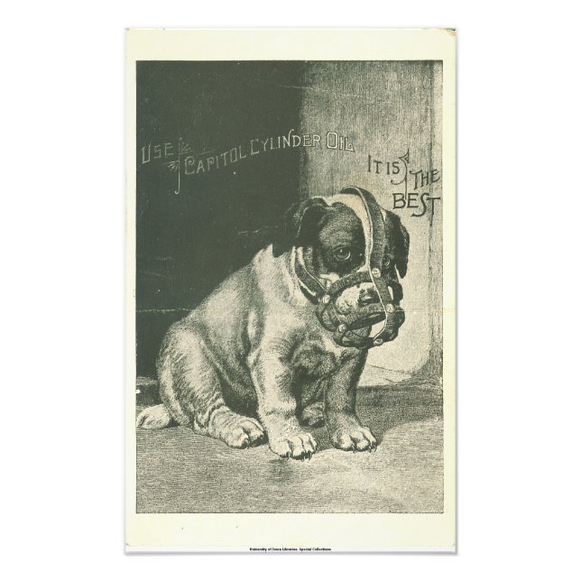 Impressão de Foto de Efêmero de Cachorrinho com Fo (Frente)