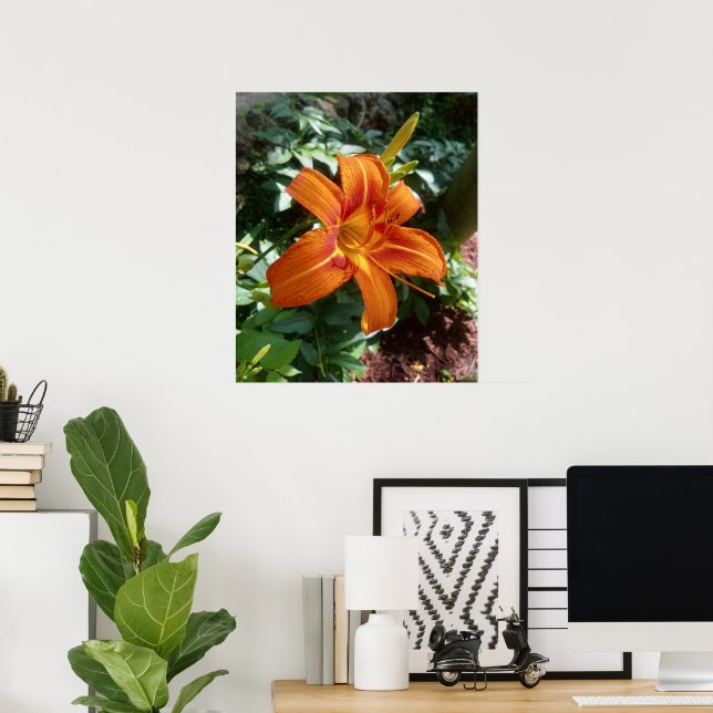 Impressão de Foto de Flor Laranja Daylily (Escritório em casa)
