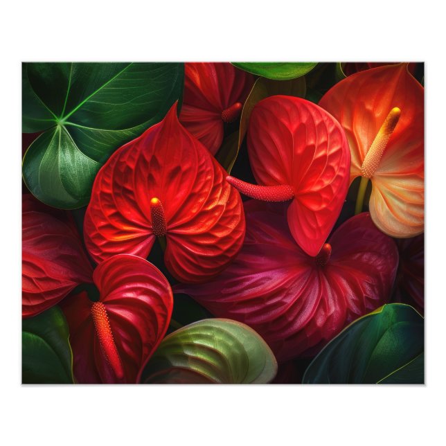 Impressão de Foto de Flores Tropicais (Frente)