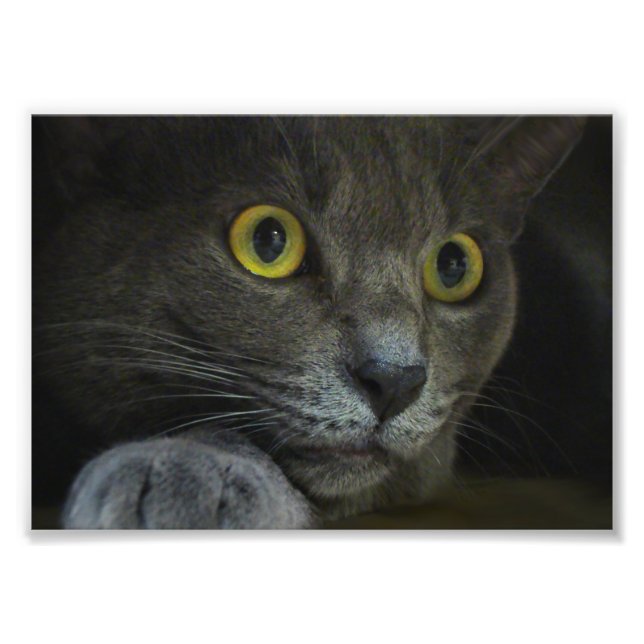 Impressão de Foto de Intensidade (Frente)