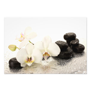 Impressão de Foto de Orquídeas