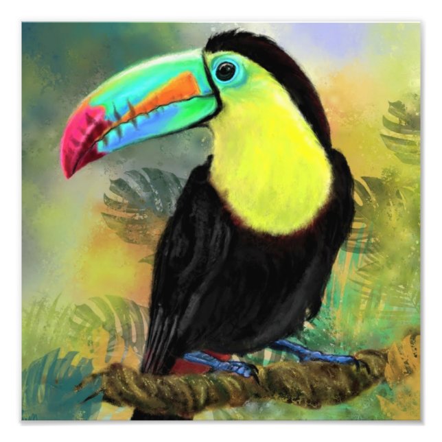 Impressão de Foto de Pássaro Toco Tropical - Pintu (Frente)