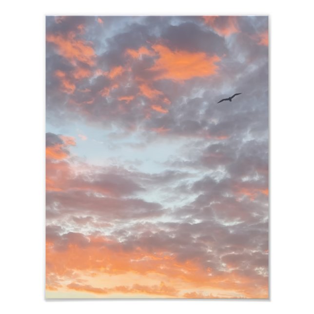 Impressão de Foto de Pássaro Voador em Nuvens Cor- (Frente)