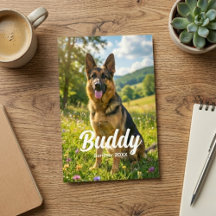 Impressão de Foto de Pet 4x6 Personalizada com Nom