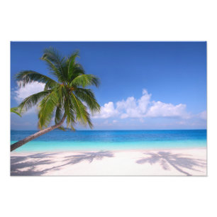 Impressão de Foto de Praia Tropical