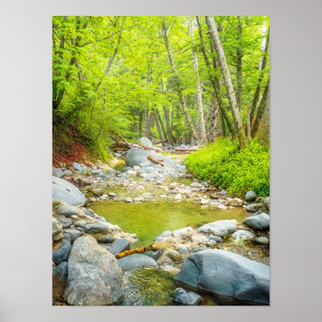 Impressão de Foto Forest Creek | Arte de Floresta  (Frente)