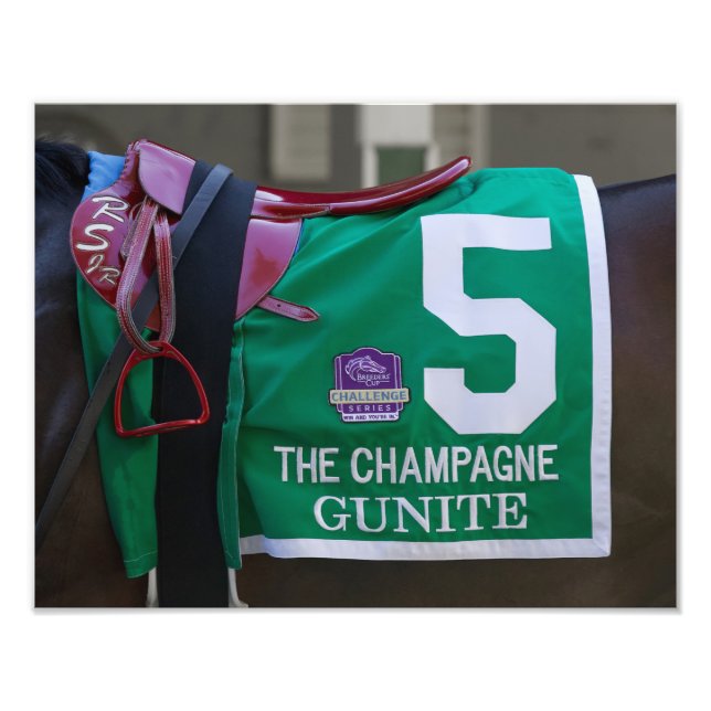 Impressão de Foto Gunite Saddlecloth (Frente)