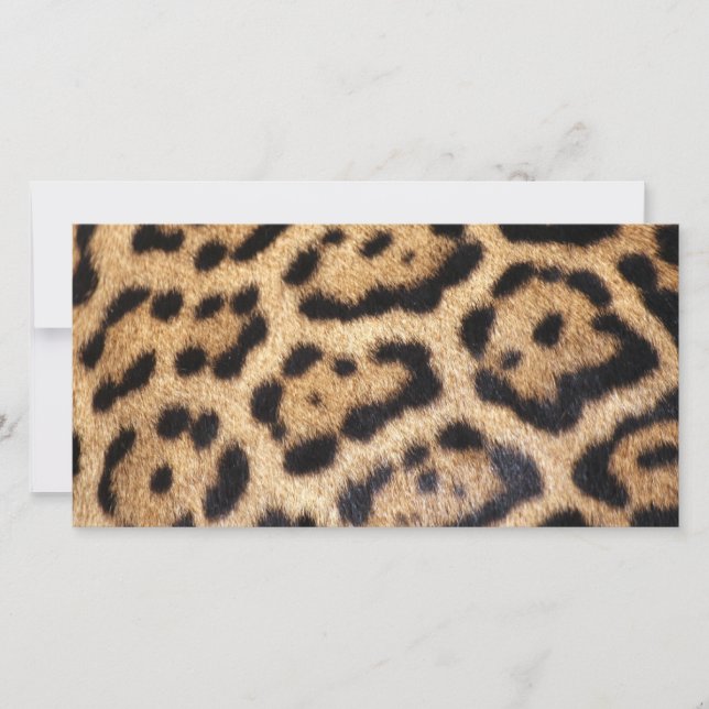 Impressão de Foto Jaguar fur (Frente)