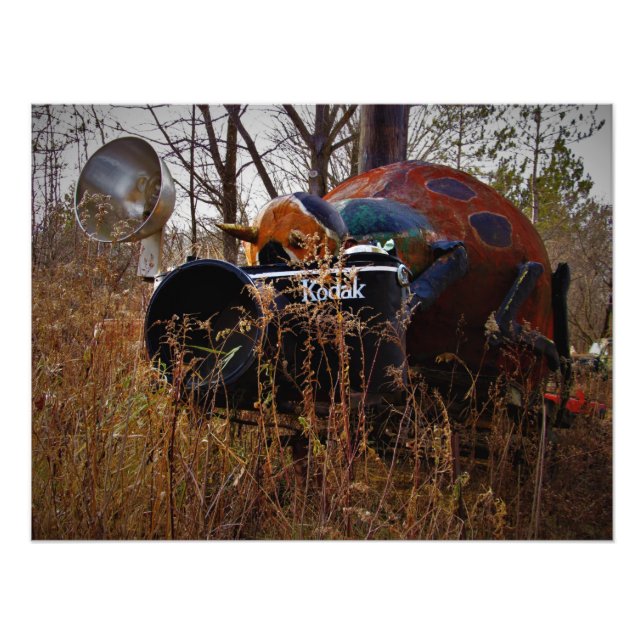 impressão de Foto "Lady BeBack the Camera" (Frente)