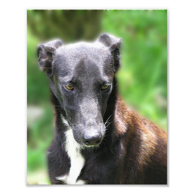 Impressão de Foto Personalizada 8 X 10 (Frente)