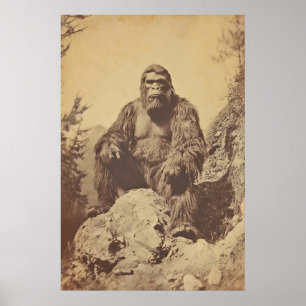 Impressão de Fotografia Bigfoot Arte Sasquatch Vin