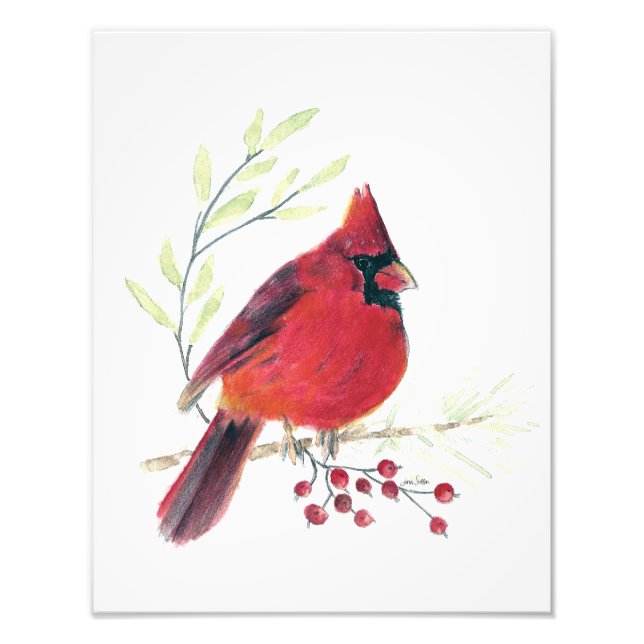 Impressão de Fotografia Cardinal Watercolor (Frente)