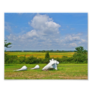 Impressão de Fotografia da Escultura da Célula do 