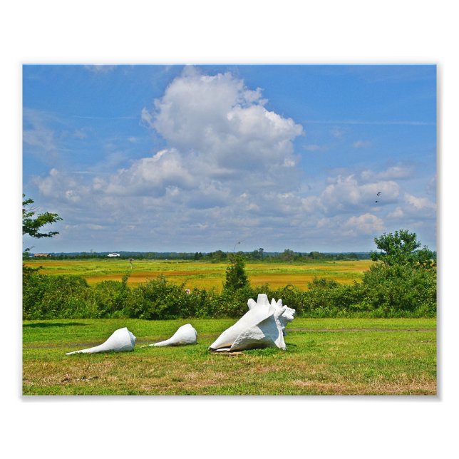 Impressão de Fotografia da Escultura da Célula do  (Frente)