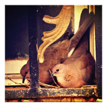 Impressão de fotografia de preparação