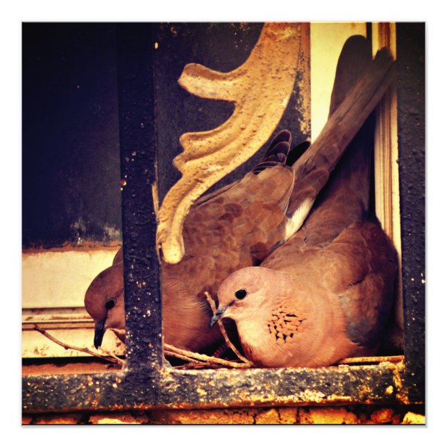 Impressão de fotografia de preparação (Frente)