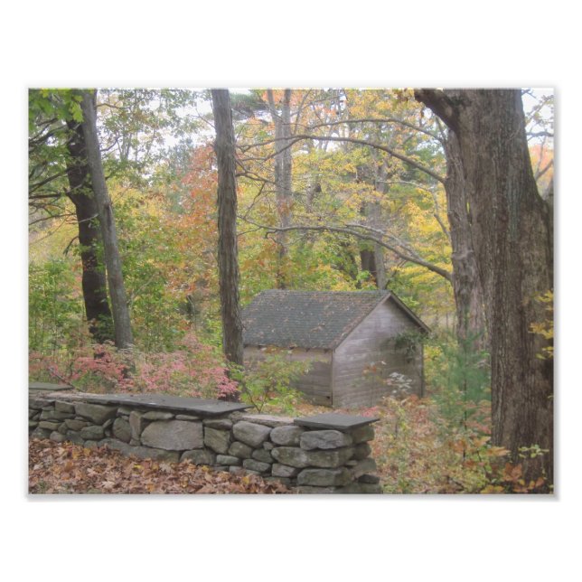 Impressão de Fotografia de Queda em Nova Inglaterr (Frente)