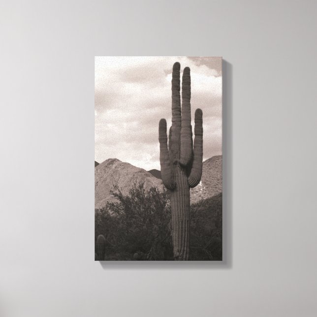 Impressão de Fotografia de Saguaro Cactus Sonoran  (Frente)