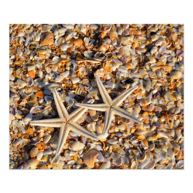Impressão de fotografia de Starfish e Seashells (Frente)