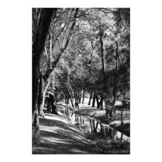 Impressão de Fotografia do Stream B&W Park