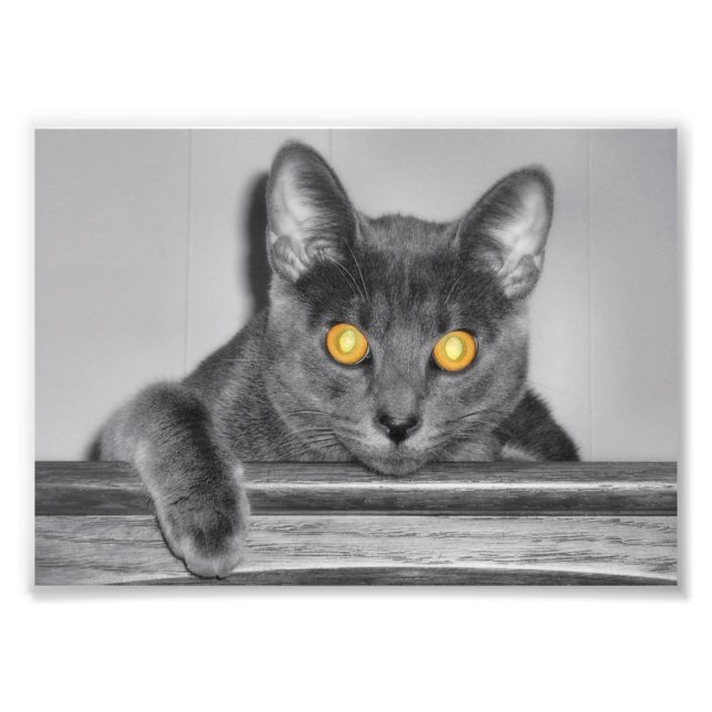 Impressão de Fotografia Dourada (Frente)