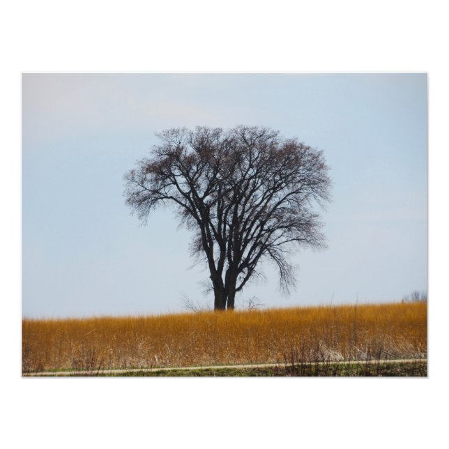 impressão de Fotografia "Enurtada no Sangue" (Frente)