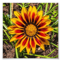 Impressão de fotografia Floral 1