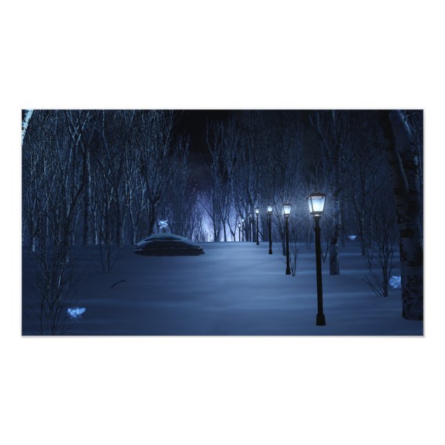 Impressão de Fotografia Leve do Fool (Frente)