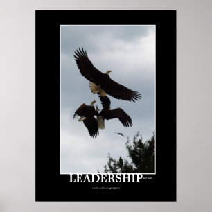 IMPRESSÃO de Fotografia Motivacional BALD EAGLE LE