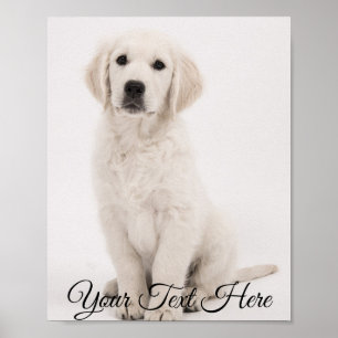 Impressão de Fotografia Poster para Retrato Person