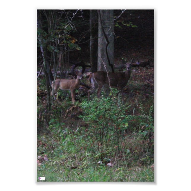 Impressão de Fotografias de Amigos (Frente)