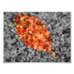 Impressão de Fotografias de Sombras Brilhantes