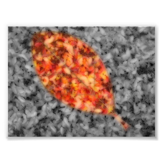 Impressão de Fotografias de Sombras Brilhantes (Frente)