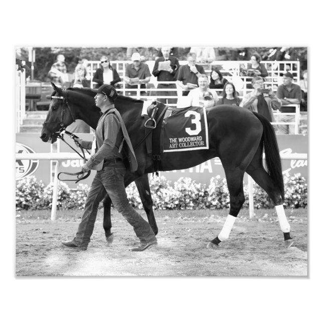 Impressão de Fotografias do Coletor de Artes (Frente)