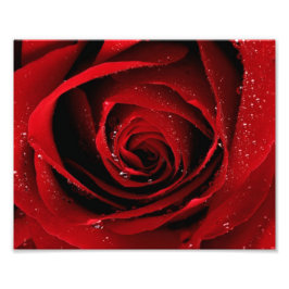 impressão de fotos 8x10