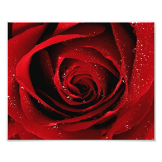 impressão de fotos 8x10