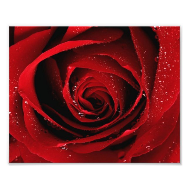 impressão de fotos 8x10 (Frente)