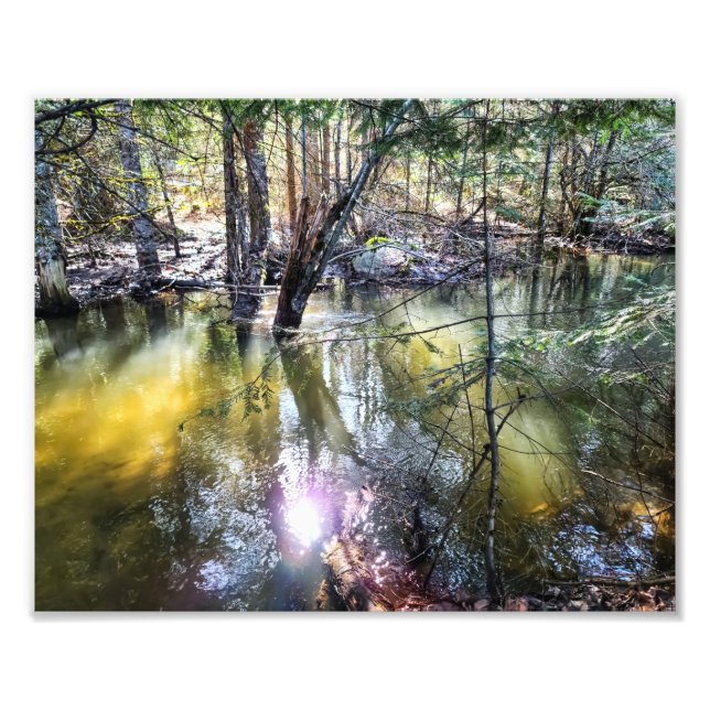 impressão de fotos de 10"x8" || A Walk By Sage Cre (Frente)