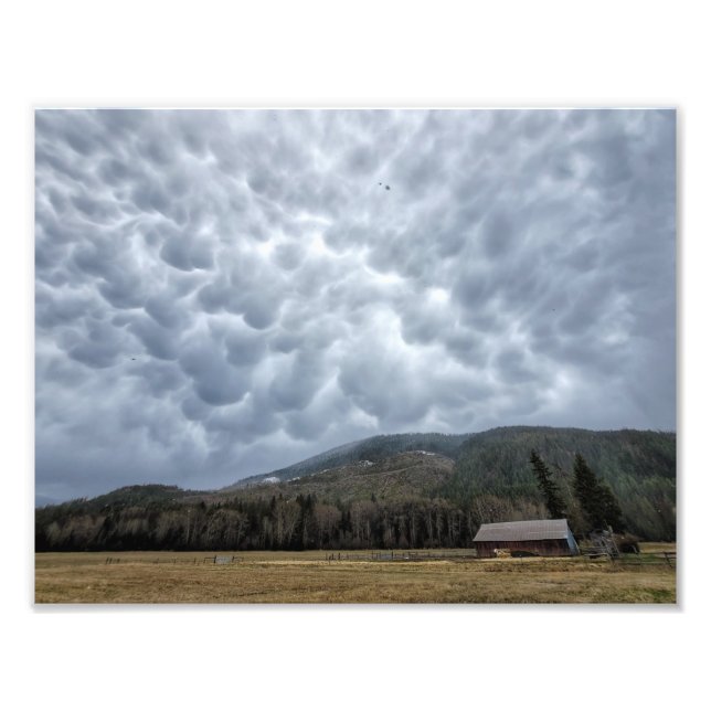 impressão de fotos de 11"x8.5" | Cedar Mt Mammatus (Frente)