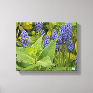 Impressão de Fotos de Flores Bluebell na Canvas