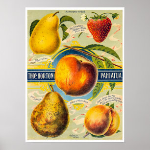 Impressão de Fruta da Nova Zelândia