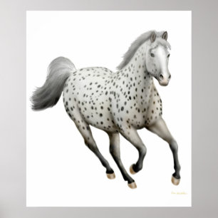 Impressão de galope do cavalo do Appaloosa do