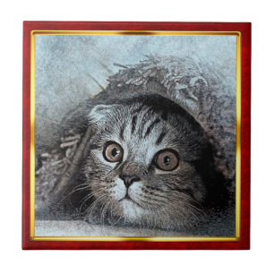 Impressão de Gato Abstrato em Moldura Vermelha e D