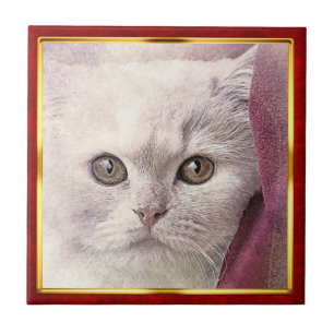 Impressão de Gato Abstrato em Moldura Vermelha e D